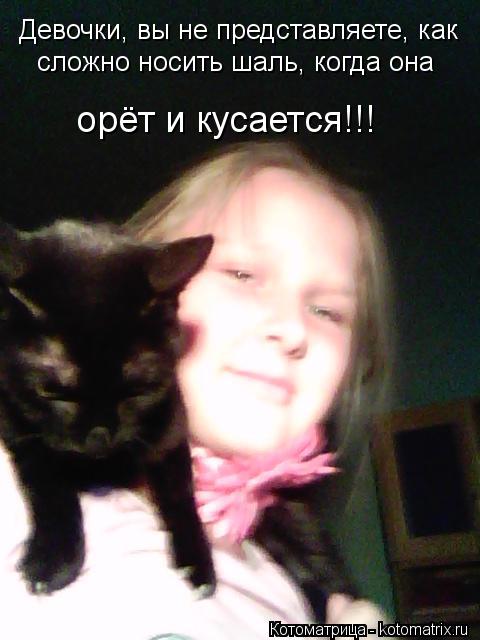 Девочки, вы не представляете, как сложно носить шаль, когда она орёт и кусается!!!... Котоматрица: Девочки, вы не представляете, как сложно носить шаль, когда она орёт и кусается!!!