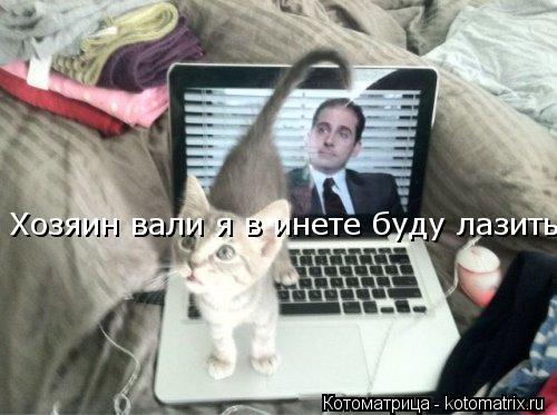 Хозяин вали я в инете буду лазить!... Котоматрица: Хозяин вали я в инете буду лазить!