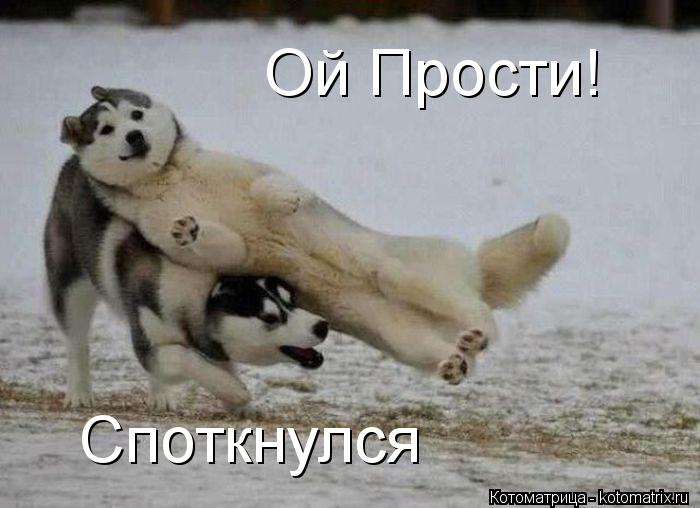 Ой Прости! Споткнулся... Котоматрица: Ой Прости! Споткнулся