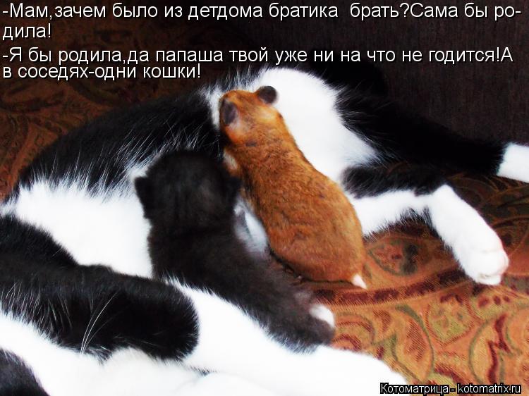 -Мам,зачем было из детдома братика брать?Сама бы ро- дила! -Я бы родила,да папаша твой уже ни на что... Котоматрица: -Мам,зачем было из детдома братика брать?Сама бы ро- дила! -Я бы родила,да папаша твой уже ни на что не годится!А в соседях-одни кошки!