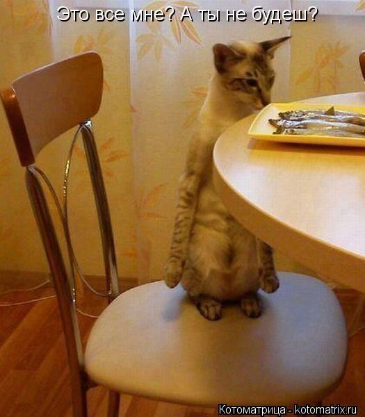 Это все мне? А ты не будеш?... Котоматрица: Это все мне? А ты не будеш?