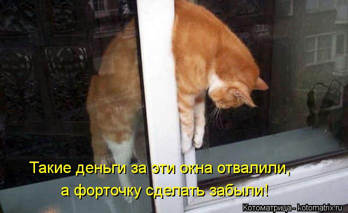 Такие деньги за эти окна отвалили, а форточку сделать забыли!... Котоматрица: Такие деньги за эти окна отвалили, а форточку сделать забыли!