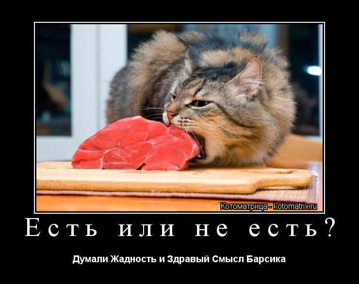Есть или не есть? Думали Жадность и Здравый Смысл Барсика... Котоматрица: Есть или не есть? Думали Жадность и Здравый Смысл Барсика