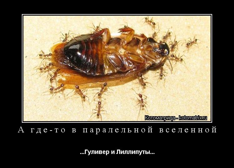 А где-то в паралельной вселенной ...Гуливер и Лиллипуты...... Котоматрица: А где-то в паралельной вселенной ...Гуливер и Лиллипуты...