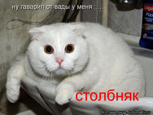 ну гаварил от вады у меня :.... столбняк... Котоматрица: ну гаварил от вады у меня :.... столбняк
