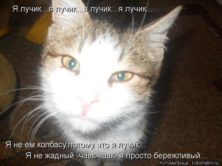 Я лучик...я лучик...я лучик...я лучик... Я не ем колбасу,потому что я лучик... Я не жадный -чавк-чавк... Котоматрица: Я лучик...я лучик...я лучик...я лучик... Я не ем колбасу,потому что я лучик... Я не жадный -чавк-чавк- я просто бережливый...
