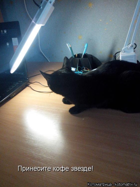 Принесите кофе звезде!... Котоматрица: Принесите кофе звезде!