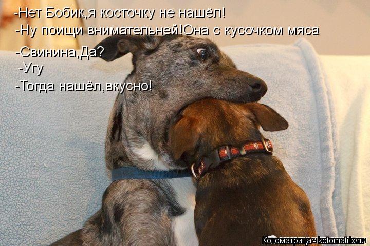 -Нет Бобик,я косточку не нашёл! -Ну поищи внимательней!Она с кусочком мяса -Свинина,Да? -Угу -Тогда н... Котоматрица: -Нет Бобик,я косточку не нашёл! -Ну поищи внимательней!Она с кусочком мяса -Свинина,Да? -Угу -Тогда нашёл,вкусно!