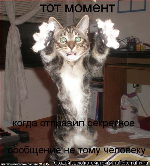 тот момент когда отправил секретное сообщение не тому человеку... Котоматрица: тот момент когда отправил секретное сообщение не тому человеку