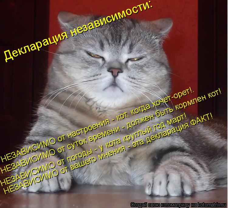 Декларация независимости: НЕЗАВИСИМО от настроения - кот, когда хочет-орет!. НЕЗАВИСИМО от суток врем... Котоматрица: Декларация независимости: НЕЗАВИСИМО от настроения - кот, когда хочет-орет!. НЕЗАВИСИМО от суток времени - должен быть кормлен кот! НЕЗАВИСИ