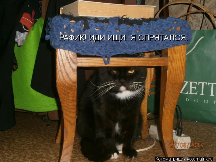 РАФИК! ИДИ ИЩИ. Я СПРЯТАЛСЯ.... Котоматрица: РАФИК! ИДИ ИЩИ. Я СПРЯТАЛСЯ.