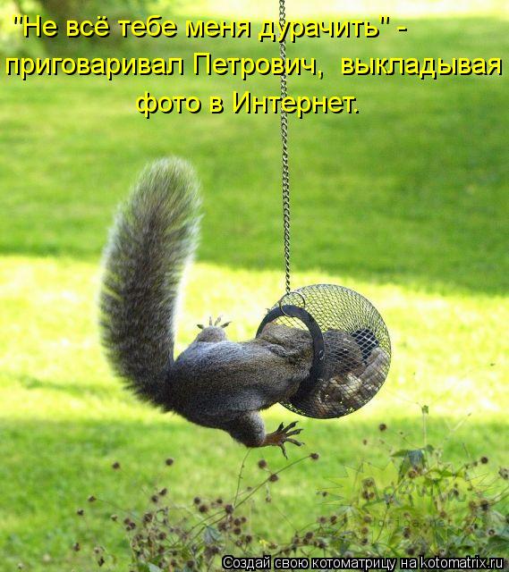 "Не всё тебе меня дурачить" - приговаривал Петрович, выкладывая фото в Интернет.... Котоматрица: "Не всё тебе меня дурачить" - приговаривал Петрович, выкладывая фото в Интернет.