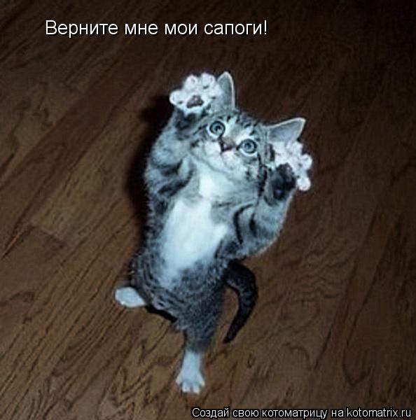 Верните мне мои сапоги!... Котоматрица: Верните мне мои сапоги!