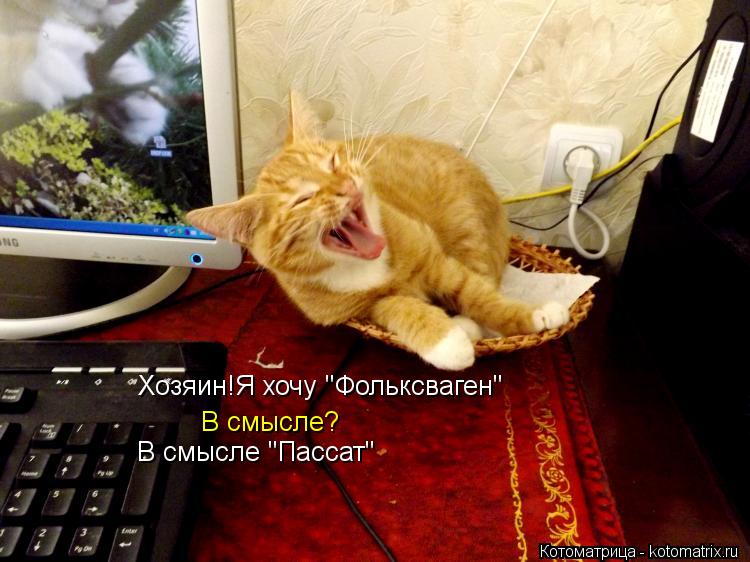 Хозяин!Я хочу "Фольксваген" В смысле? В смысле "Пассат"... Котоматрица: Хозяин!Я хочу "Фольксваген" В смысле? В смысле "Пассат"
