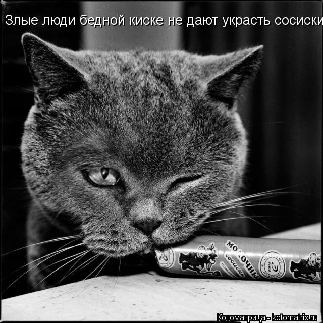 Злые люди бедной киске не дают украсть сосиски...... Котоматрица: Злые люди бедной киске не дают украсть сосиски...