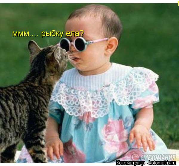 ммм.... рыбку ела? ммм.... рыбку ела?... Котоматрица: ммм.... рыбку ела? ммм.... рыбку ела?