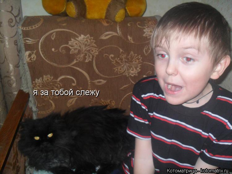я за тобой слежу... Котоматрица: я за тобой слежу
