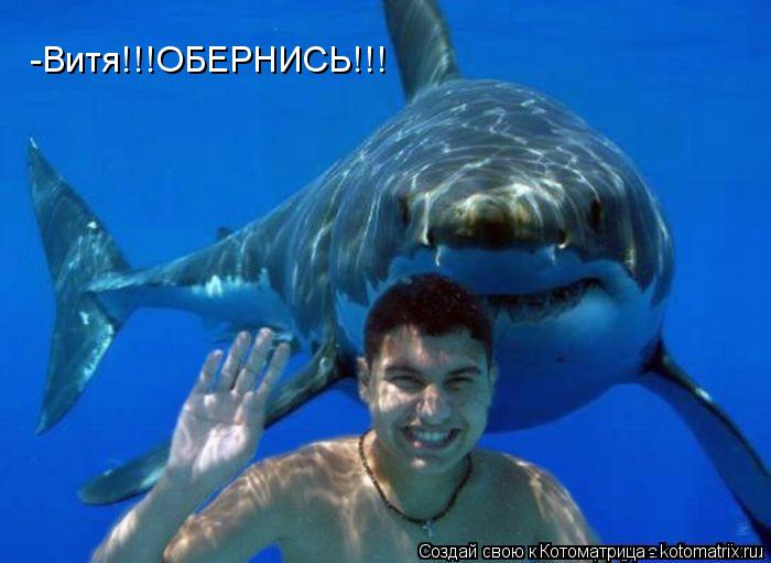 -Витя!!!ОБЕРНИСЬ!!!... Котоматрица: -Витя!!!ОБЕРНИСЬ!!!