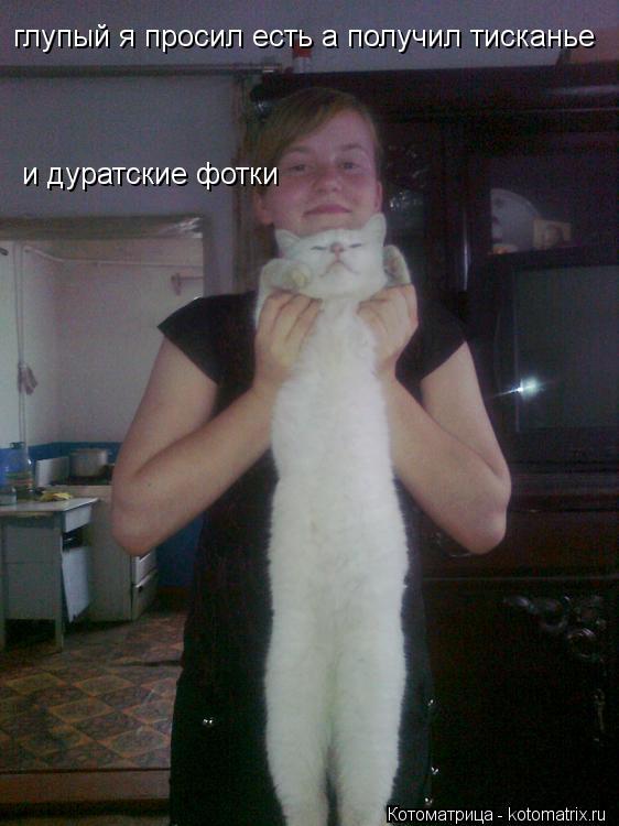 глупый я просил есть а получил тисканье и дуратские фотки... Котоматрица: глупый я просил есть а получил тисканье и дуратские фотки
