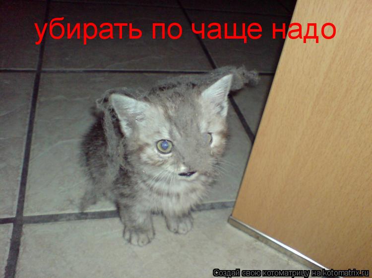 убирать по чаще надо... Котоматрица: убирать по чаще надо