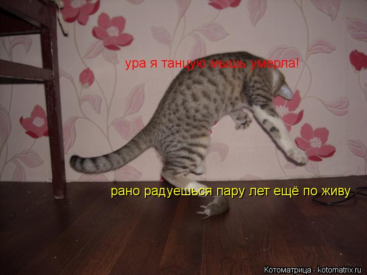 ура я танцую мышь умерла! рано радуешься пару лет ещё по живу рано радуешься пару лет ещё по живу ран... Котоматрица: ура я танцую мышь умерла! рано радуешься пару лет ещё по живу рано радуешься пару лет ещё по живу рано радуешься пару лет ещё по живу рано ра