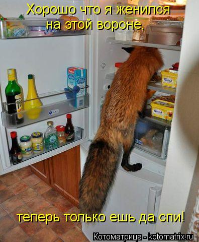 Котоматрица: Хорошо что я женился на этой вороне, теперь только ешь да спи!