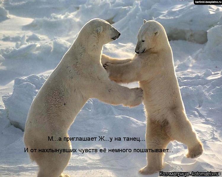 Котоматрица: М...а приглашает Ж...у на танец... И от нахлынувших чувств её немного пошатывает...