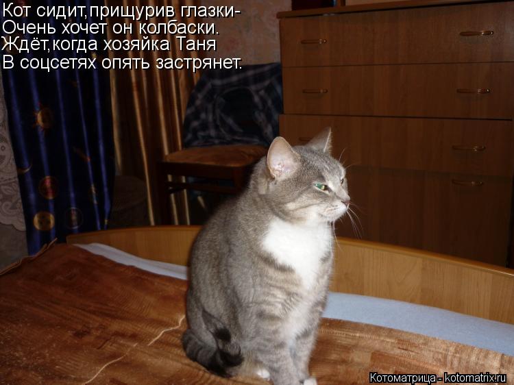 Кот сидит,прищурив глазки- Очень хочет он колбаски. Ждёт,когда хозяйка Таня В соцсетях опять застряне... Котоматрица: Кот сидит,прищурив глазки- Очень хочет он колбаски. Ждёт,когда хозяйка Таня В соцсетях опять застрянет.