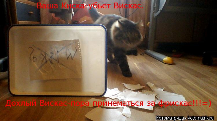 Ваша Киска-убьет Вискас. Дохлый Вискас-пора принематься за фрискас!!!=)... Котоматрица: Ваша Киска-убьет Вискас. Дохлый Вискас-пора принематься за фрискас!!!=)