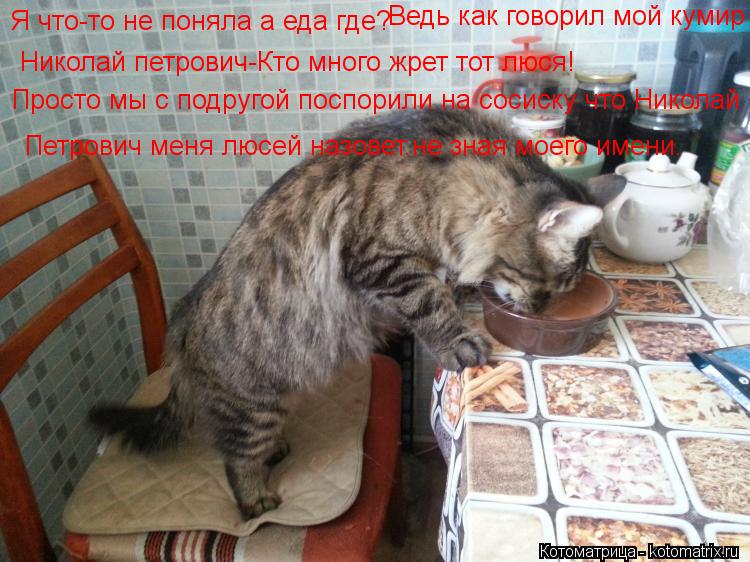Я что-то не поняла а еда где? Ведь как говорил мой кумир Николай петрович-Кто много жрет тот люся! Пр... Котоматрица: Я что-то не поняла а еда где? Ведь как говорил мой кумир Николай петрович-Кто много жрет тот люся! Просто мы с подругой поспорили на сосиску ч