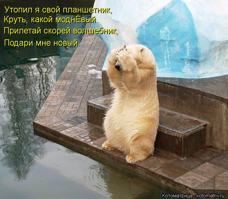 Утопил я свой планшетник, Круть, какой моднЁвый. Прилетай скорей волшебник, Подари мне новый.... Котоматрица: Утопил я свой планшетник, Круть, какой моднЁвый. Прилетай скорей волшебник, Подари мне новый.