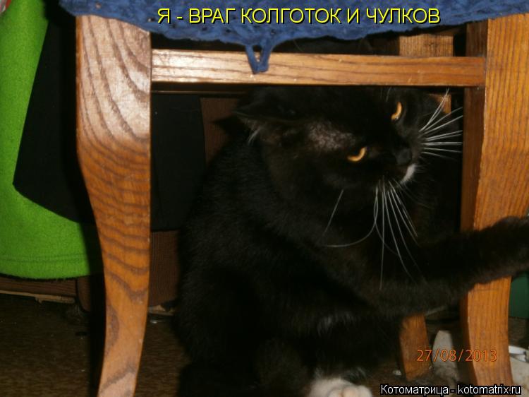 Я - ВРАГ КОЛГОТОК И ЧУЛКОВ... Котоматрица: Я - ВРАГ КОЛГОТОК И ЧУЛКОВ