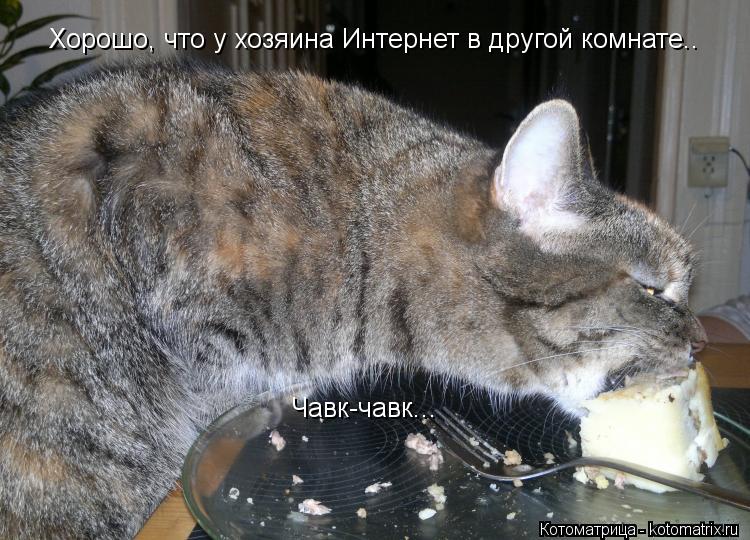 Хорошо, что у хозяина Интернет в другой комнате.. Чавк-чавк...... Котоматрица: Хорошо, что у хозяина Интернет в другой комнате.. Чавк-чавк...