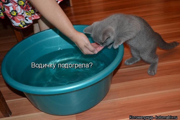 Котоматрица: Водичку подогрела?