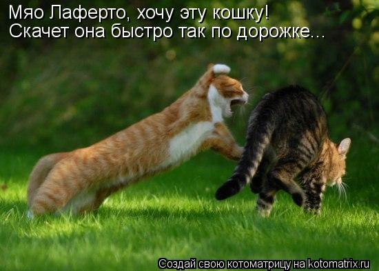 Мяо Лаферто, хочу эту кошку! Скачет она быстро так по дорожке...... Котоматрица: Мяо Лаферто, хочу эту кошку! Скачет она быстро так по дорожке...
