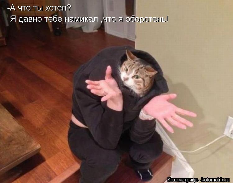 -А что ты хотел? Я давно тебе намикал ,что я оборотень!... Котоматрица: -А что ты хотел? Я давно тебе намикал ,что я оборотень!