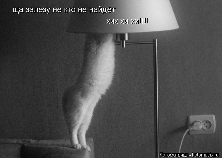 ща залезу не кто не найдёт хих хи хи!!!!... Котоматрица: ща залезу не кто не найдёт хих хи хи!!!!
