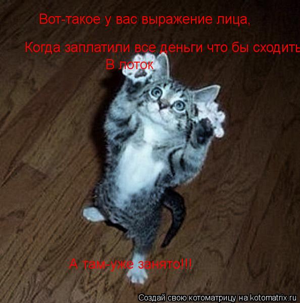 Вот-такое у вас выражение лица, Когда заплатили все деньги что бы сходить В лоток А там-уже занято!!... Котоматрица: Вот-такое у вас выражение лица, Когда заплатили все деньги что бы сходить В лоток А там-уже занято!!!