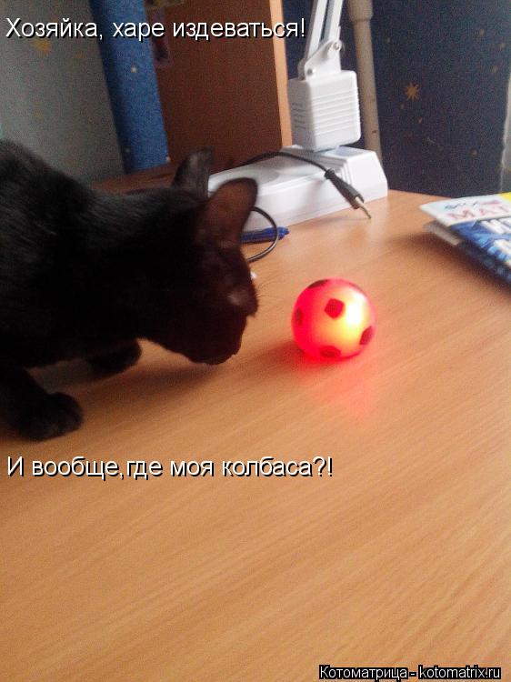 Хозяйка, харе издеваться! И вообще,где моя колбаса?!... Котоматрица: Хозяйка, харе издеваться! И вообще,где моя колбаса?!