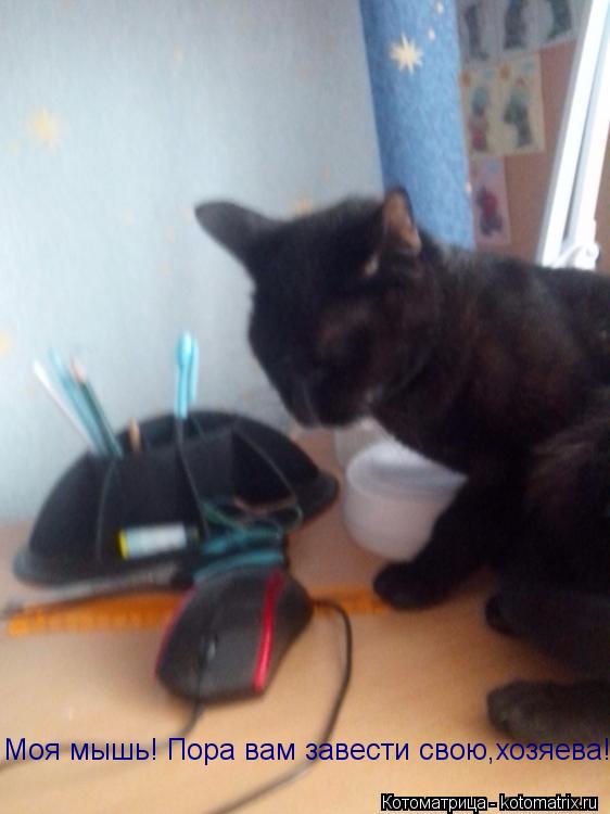 Моя мышь! Пора вам завести свою,хозяева!... Котоматрица: Моя мышь! Пора вам завести свою,хозяева!