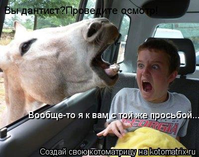 Вы дантист?Проведите осмотр! Вообще-то я к вам с той же просьбой...... Котоматрица: Вы дантист?Проведите осмотр! Вообще-то я к вам с той же просьбой...