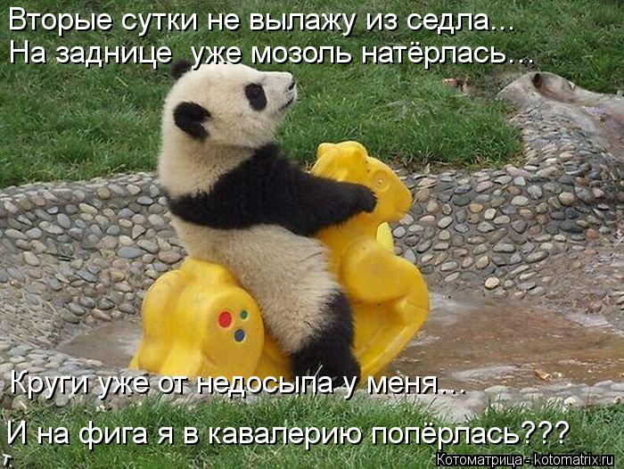 http://kotomatrix.ru/images/lolz/2013/08/29/kotomatritsa_rC.jpg