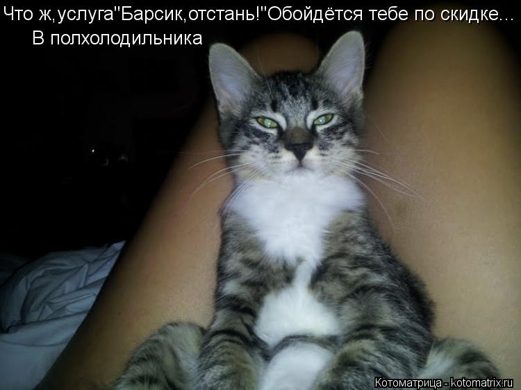 Что ж,услуга"Барсик,отстань!"Обойдётся тебе по скидке... В полхолодильника... Котоматрица: Что ж,услуга"Барсик,отстань!"Обойдётся тебе по скидке... В полхолодильника