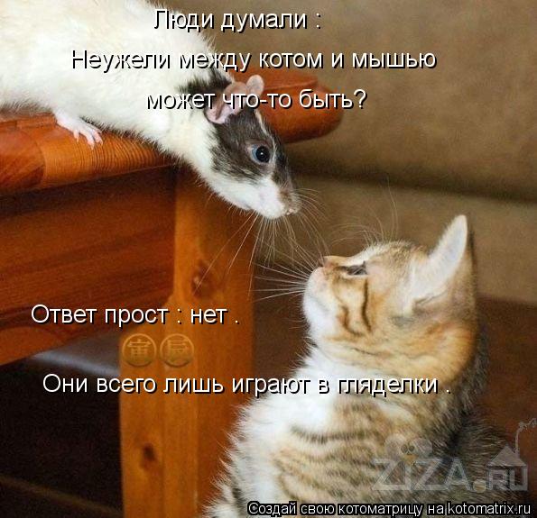Люди думали : Неужели между котом и мышью может что-то быть? Ответ прост : нет . Они всего лишь иг... Котоматрица: Люди думали : Неужели между котом и мышью может что-то быть? Ответ прост : нет . Они всего лишь играют в гляделки .