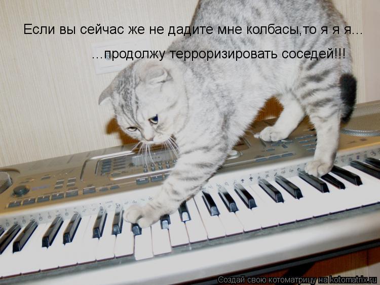 Если вы сейчас же не дадите мне колбасы,то я я я... ...продолжу терроризировать соседей!!!... Котоматрица: Если вы сейчас же не дадите мне колбасы,то я я я... ...продолжу терроризировать соседей!!!