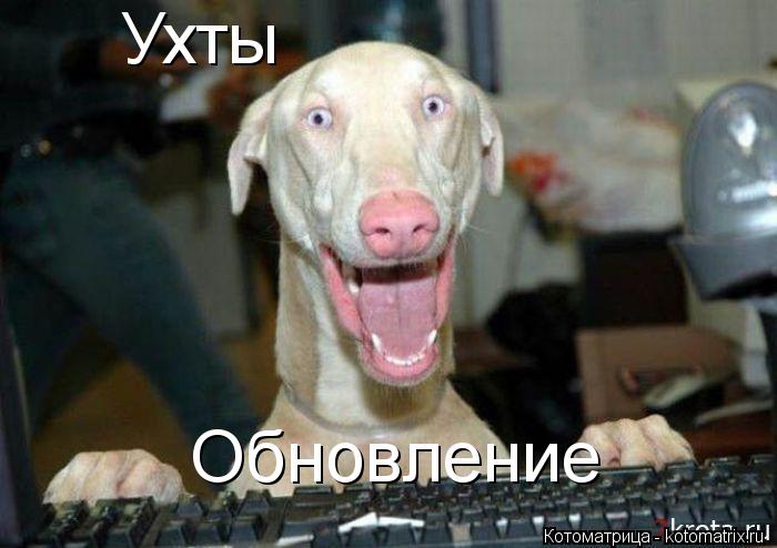 Ухты Обновление... Котоматрица: Ухты Обновление