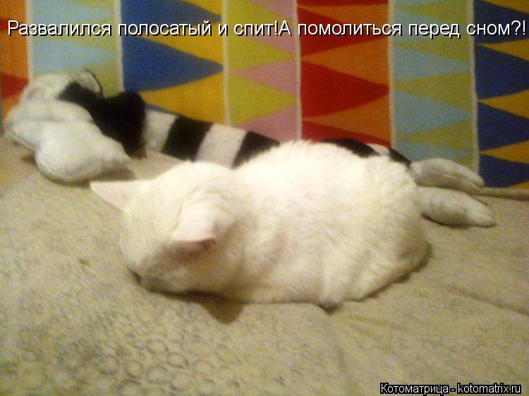 Развалился полосатый и спит!А помолиться перед сном?!... Котоматрица: Развалился полосатый и спит!А помолиться перед сном?!
