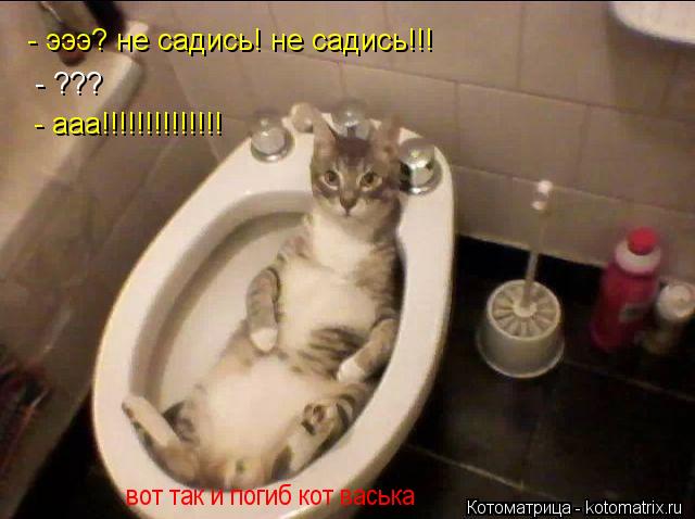 - эээ? не садись! не садись!!! - ??? - ааа!!!!!!!!!!!!!! вот так и погиб кот васька... Котоматрица: - эээ? не садись! не садись!!! - ??? - ааа!!!!!!!!!!!!!! вот так и погиб кот васька