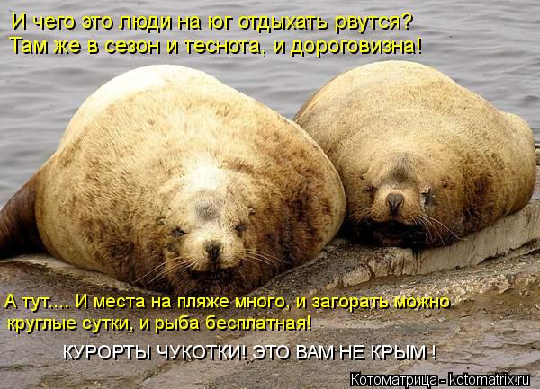 И чего это люди на юг отдыхать рвутся? Там же в сезон и теснота, и дороговизна! А тут.... И места на ... Котоматрица: И чего это люди на юг отдыхать рвутся? Там же в сезон и теснота, и дороговизна! А тут.... И места на пляже много, и загорать можно круглые сутки,