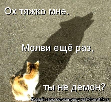 Молви ещё раз, Ох тяжко мне. ты не демон?... Котоматрица: Молви ещё раз, Ох тяжко мне. ты не демон?